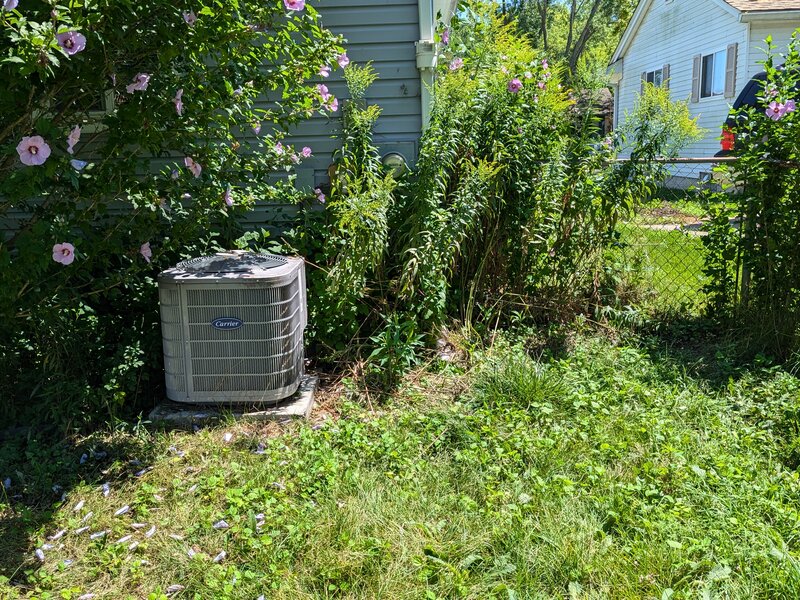 Lawnology lawn care work example 4