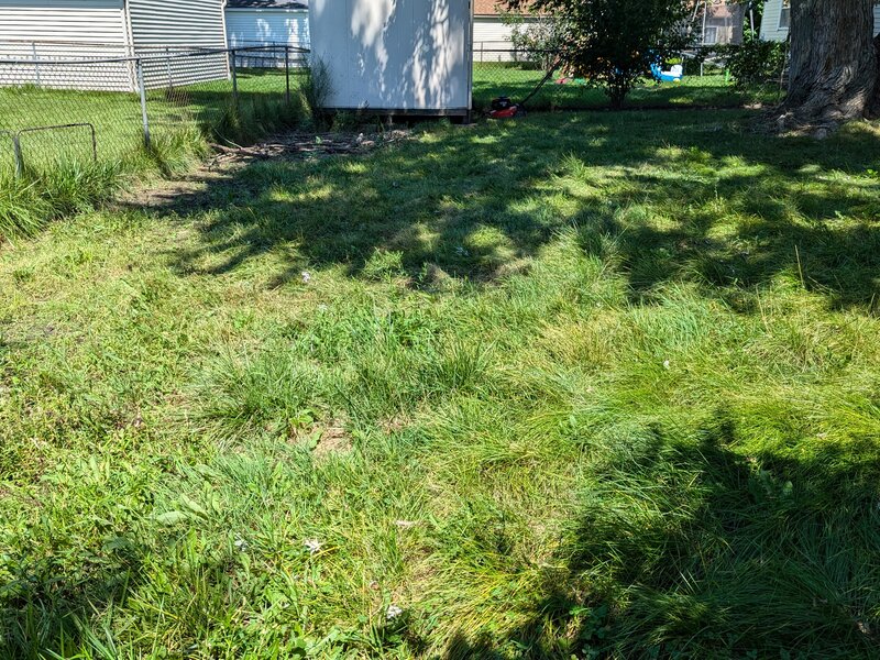 Lawnology lawn care work example 6