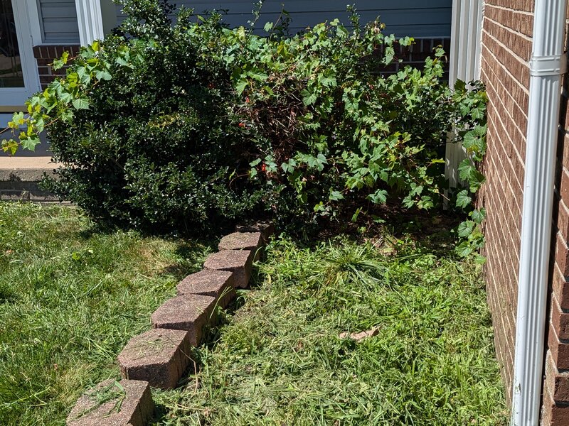 Lawnology lawn care project 13 in Metro Detroit