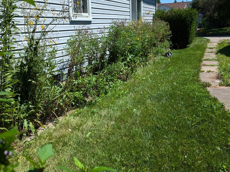 Lawn care service in Farmington Hills MI