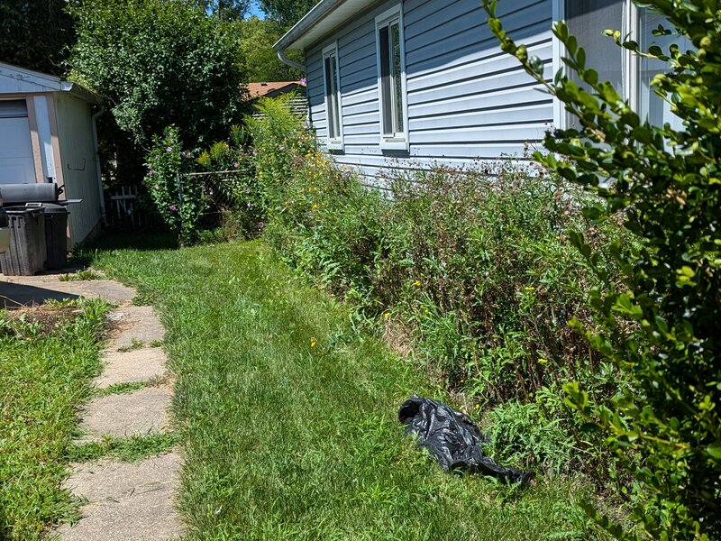 Lawnology lawn care project 16 in Metro Detroit