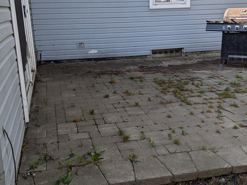 Lawnology lawn care project 29 in Metro Detroit