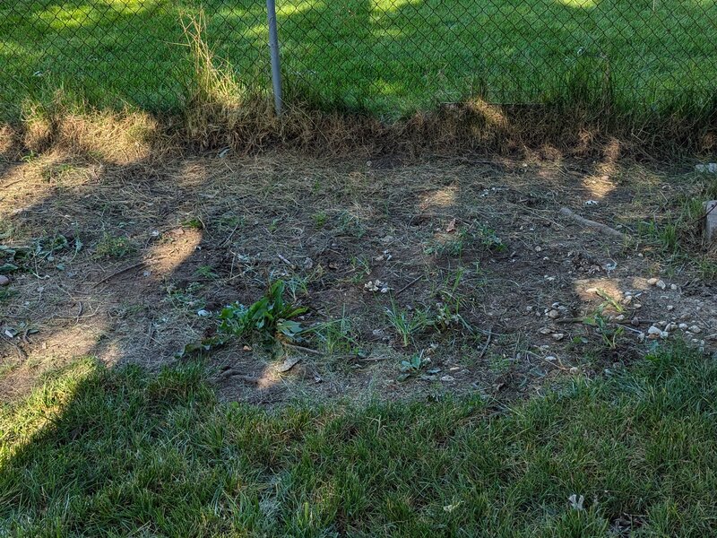 Lawnology lawn care project 32 in Metro Detroit