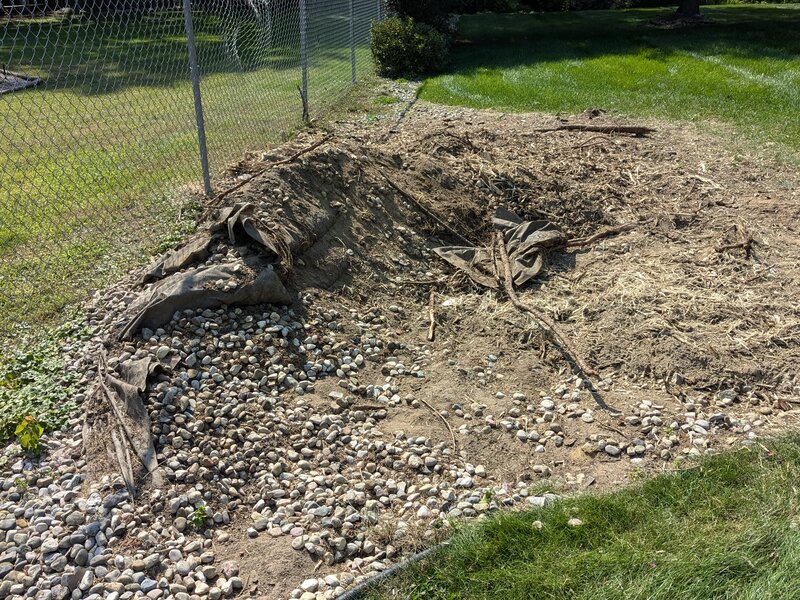 Lawn care service in Novi MI