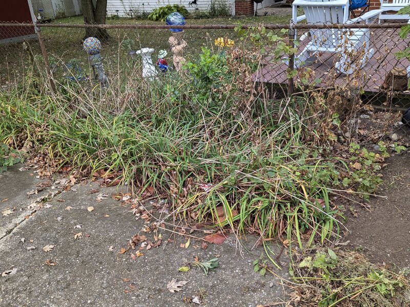 Lawn care service in Dearborn Heights MI