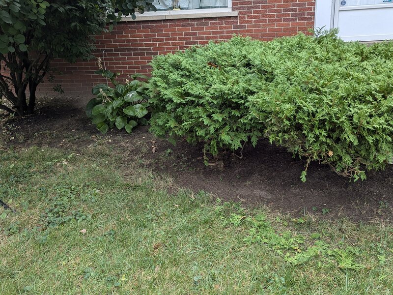 Lawnology lawn care project 54 in Metro Detroit