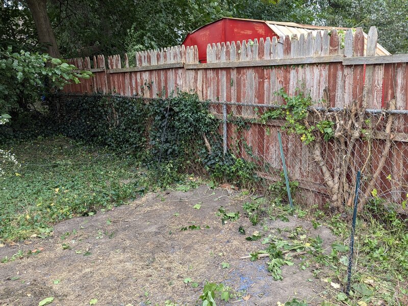 Lawnology lawn care project 65 in Metro Detroit