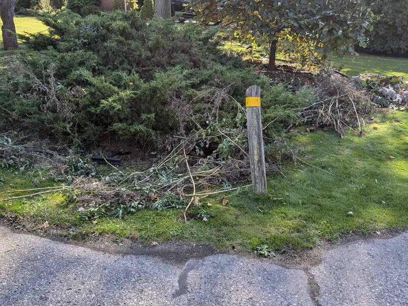 Lawnology lawn care project 70 in Metro Detroit