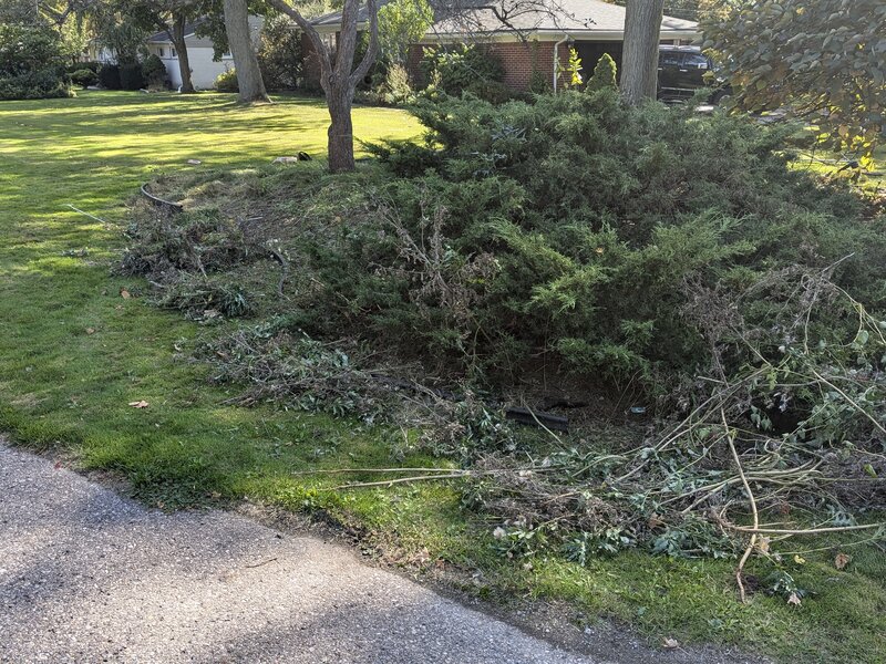 Lawnology lawn care project 71 in Metro Detroit