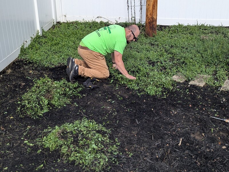 Lawnology lawn care project 74 in Metro Detroit