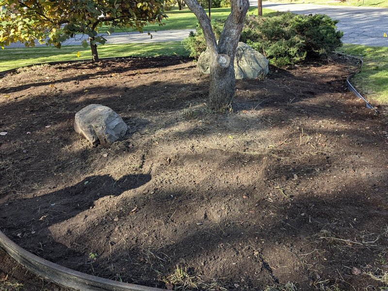 Lawnology lawn care project 77 in Metro Detroit