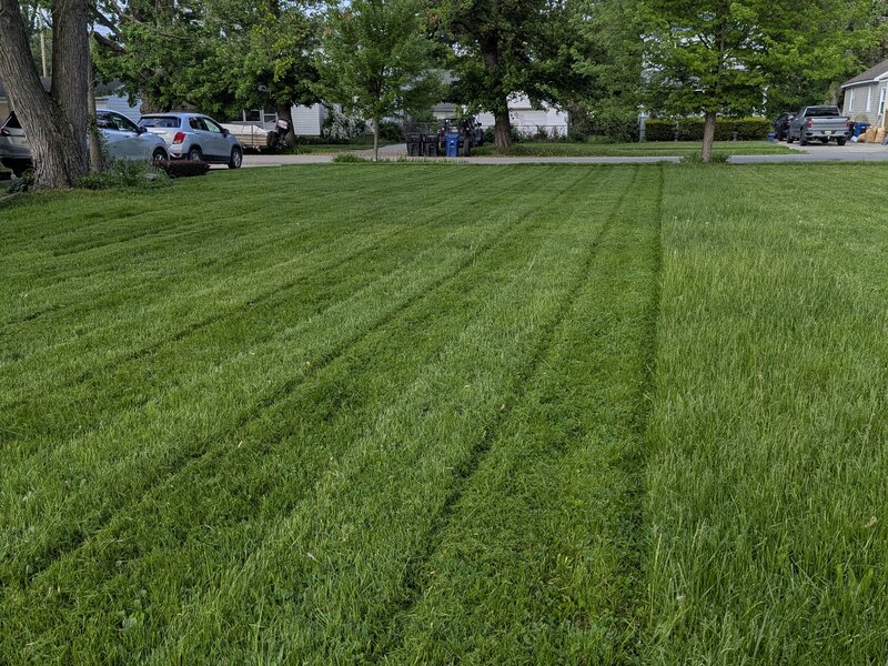 Lawnology lawn care project 88 in Metro Detroit