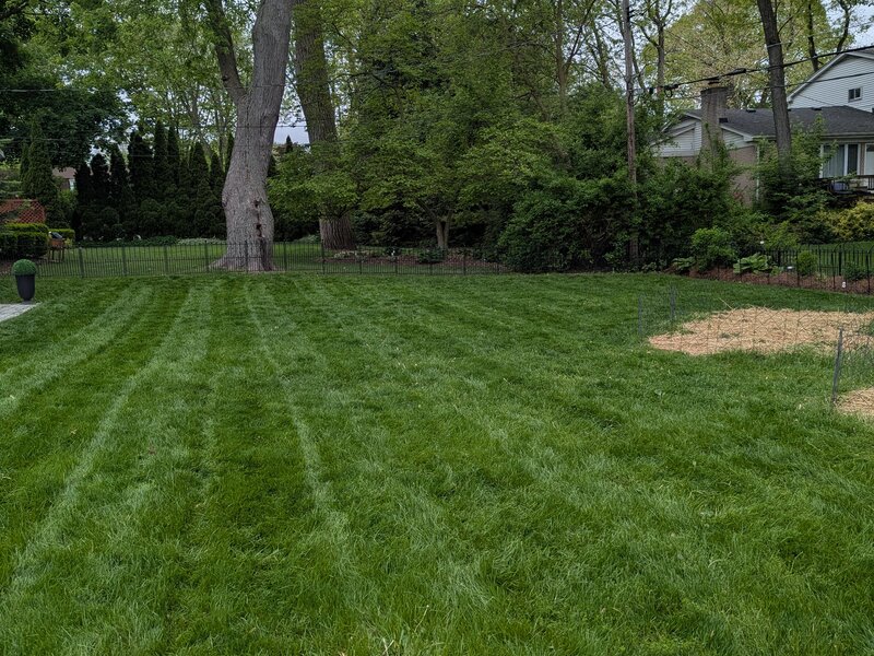 Lawnology lawn care project 92 in Metro Detroit