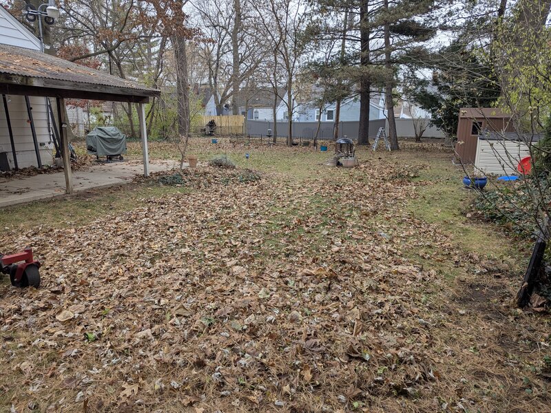 Lawnology lawn care project 101 in Metro Detroit